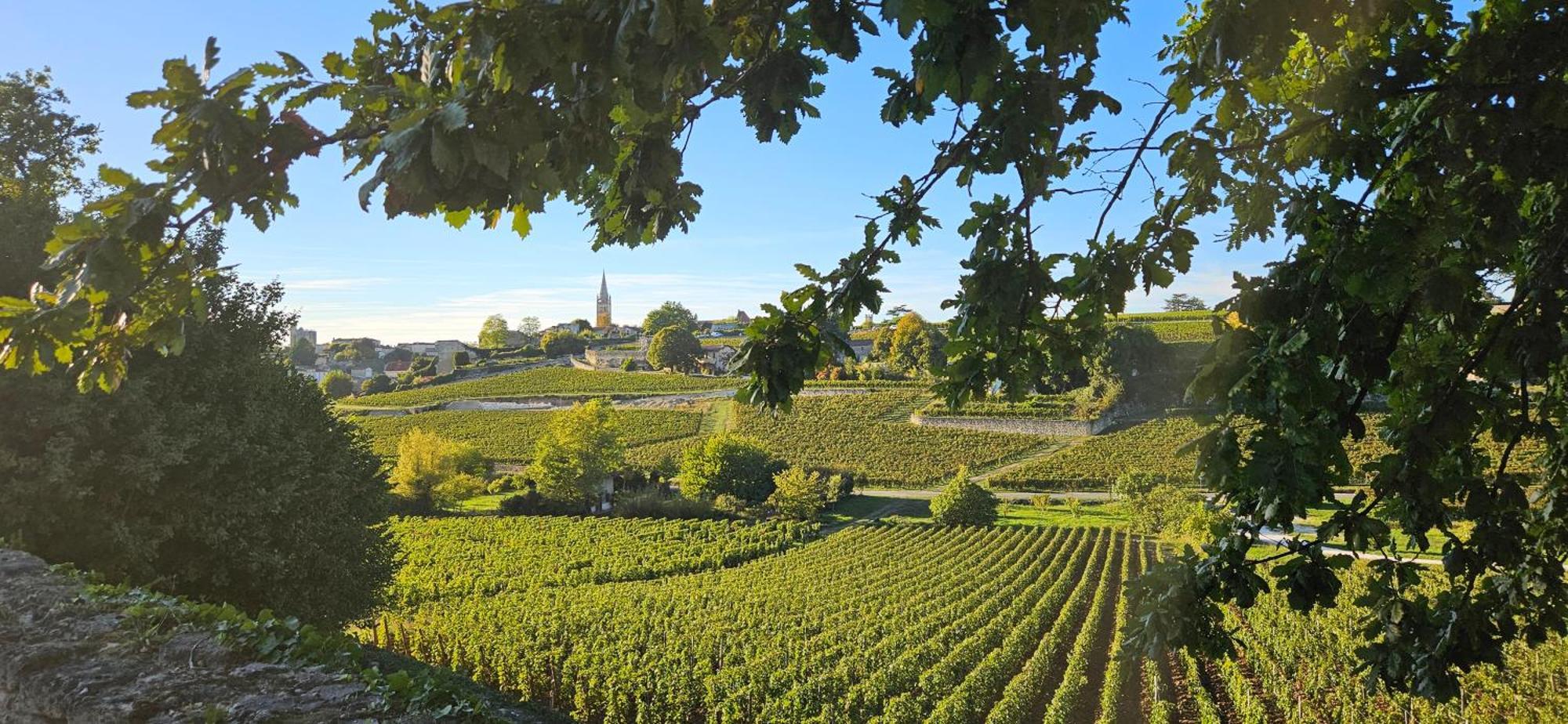 Gite Chateau Touzinat - 圣艾米隆 外观 照片